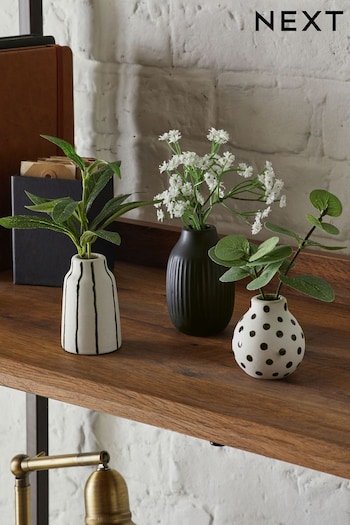 Set of 3 Green Artificial Plants In Monochrome Ceramic Pots (C90870) | £24