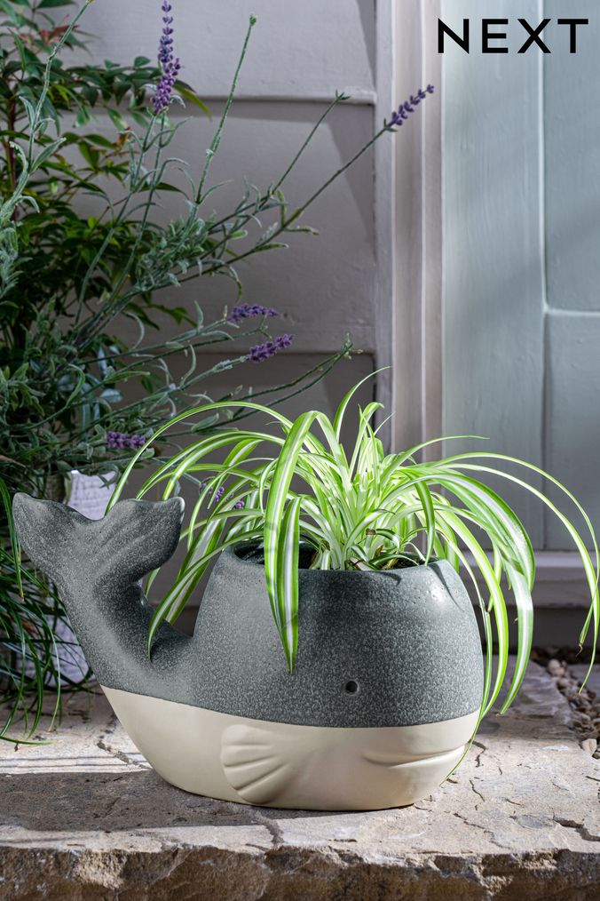 Next clearance plant pots