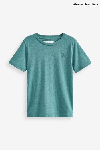 Abercrombie & Fitch Icon Logo T-Shirt (C94622) | £13