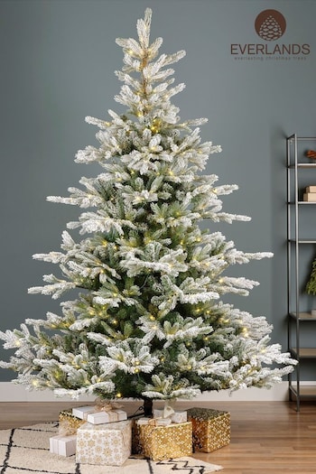 Everlands Green Pre-Lit LED 7ft Grandis Snowy Christmas Tree (CQ9508) | £250