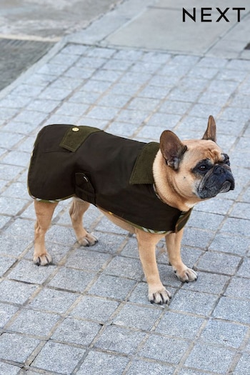 Black Waxed Effect Dog Coat With Khaki Green Cord Collar (D00023) | £22 - £26