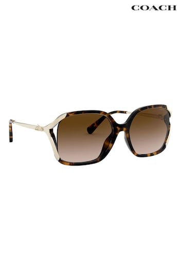 Coach Brown L1116 Round Sunglasses (D08499) | £139