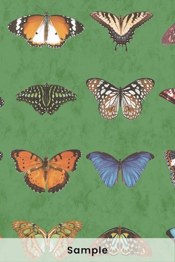 Woodchip & Magnolia Green Lepidoptera Sample Wallpaper (D17376) | £2