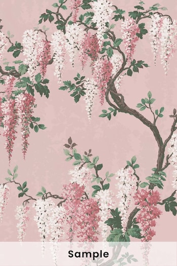 Woodchip & Magnolia Pink Wisteria Sample Wallpaper (D17392) | £2