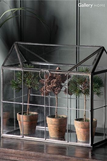 Gallery Home Set of 3 Brown Potted Pine Cone Trees (D20459) | £28