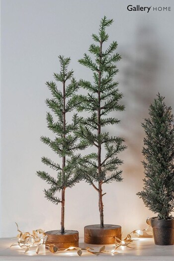 Gallery Home Green Pine Sapling With Log Base Large (D20463) | £20