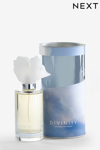Divinity 100ml Perfume (D27842) | £18