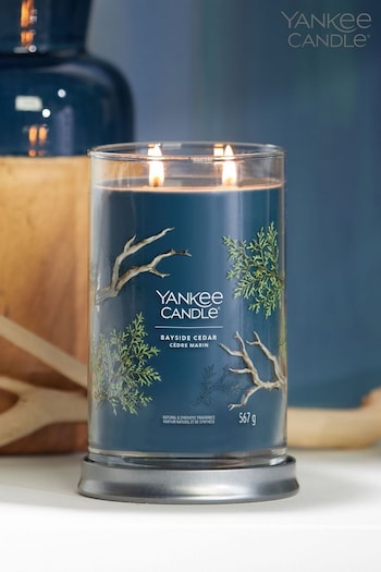 Yankee Candle Signature Large Tumbler Scented Candle, Bayside Cedar (D30332) | £32