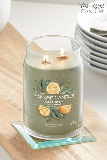 Yankee Candle Signature Large Jar Scented Candle, Sage & Citrus (D30372) | £30