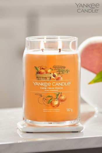 Yankee Candle Signature Large Jar Scented Candle, Farm Fresh Peach (D30377) | £30