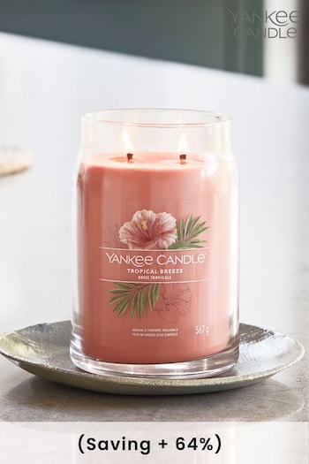 Yankee Candle Signature Large Jar Scented Candle Spiced, Tropical Breeze (D30416) | £30