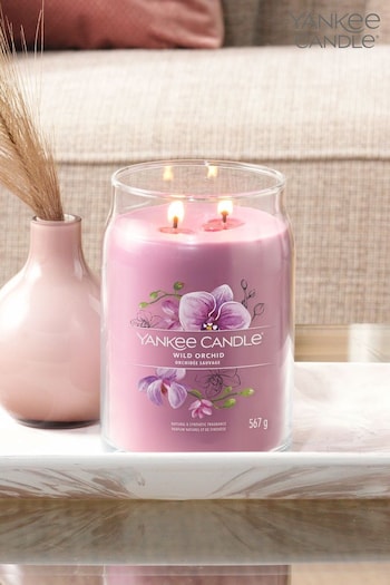 Yankee Candle Signature Large Jar Scented Candle, Wild Orchid (D30451) | £30