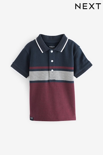 Navy and Berry Colourblock Popcorn Short Sleeve eva Polo Shirt (3mths-7yrs) (D37353) | £8 - £10