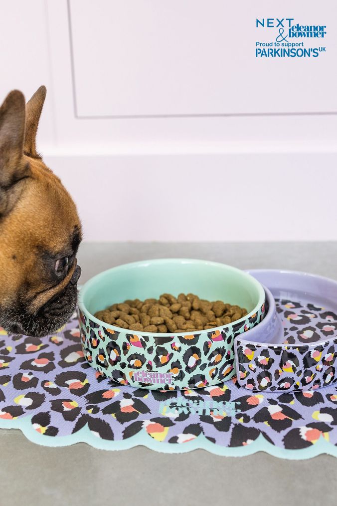 Matching dog on sale bowls