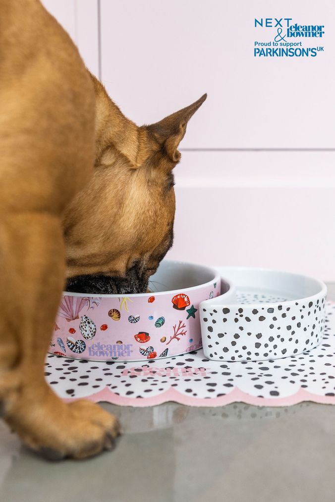 Nike dog bowl online