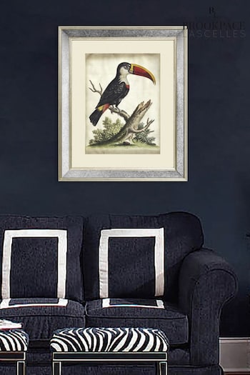 Brookpace Lascelles Cream Toucan Print in Antique Mirrored Frame (D39455) | £115