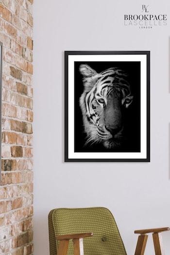 Brookpace Lascelles Black Tiger Framed Wall Art (D39457) | £160