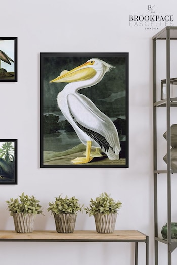 Brookpace Lascelles White Pelican Framed Wall Art (D39458) | £160