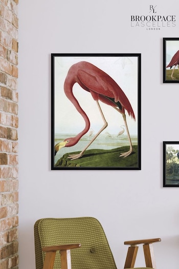 Brookpace Lascelles Red Flamingo Framed Wall Art (D39459) | £160