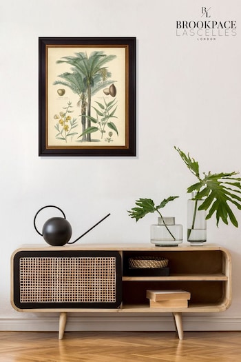 Brookpace Lascelles Black Fruitful Palm I Framed Wall Art (D39461) | £55