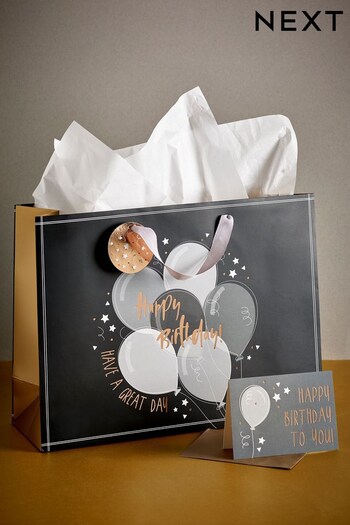 Grey Mono Balloons Card and Gift Bag Bleu Set (D46024) | £4