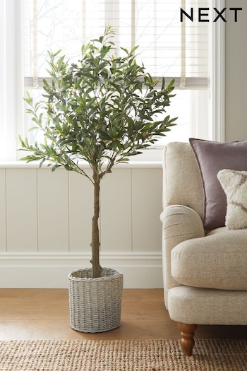 Green Artificial Light Up Olive Tree (D48495) | £140