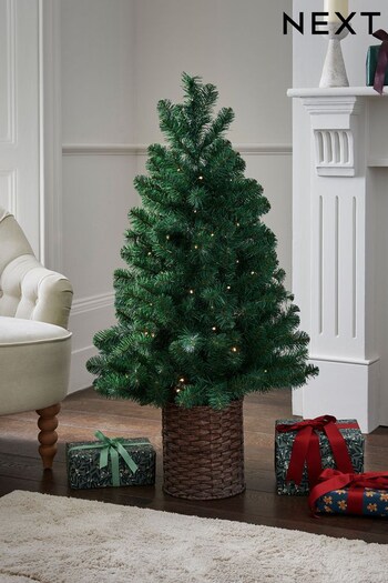 Green Pre Lit Forest Pine 4ft  Christmas Tree (D51649) | £70
