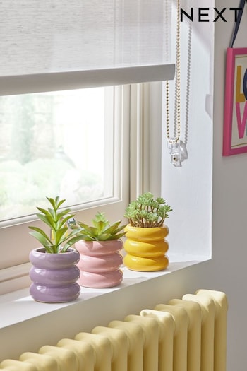 Set of 3 Green Artificial Succulents In Bright Pots (D54964) | £24