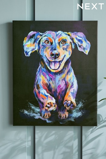 Multicolour Bright Sausage Dog Canvas Wall Art (D55116) | £22