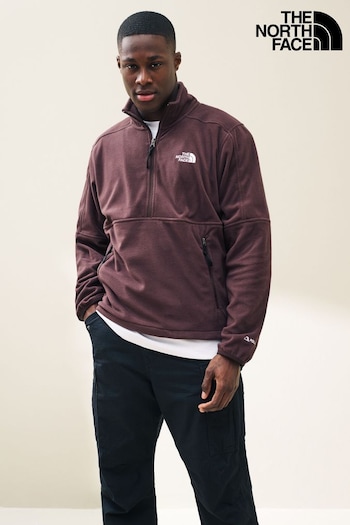 everlane fleece hoodie sweater Polartec 100 Quarter Zip Brown Fleece (D63552) | £90