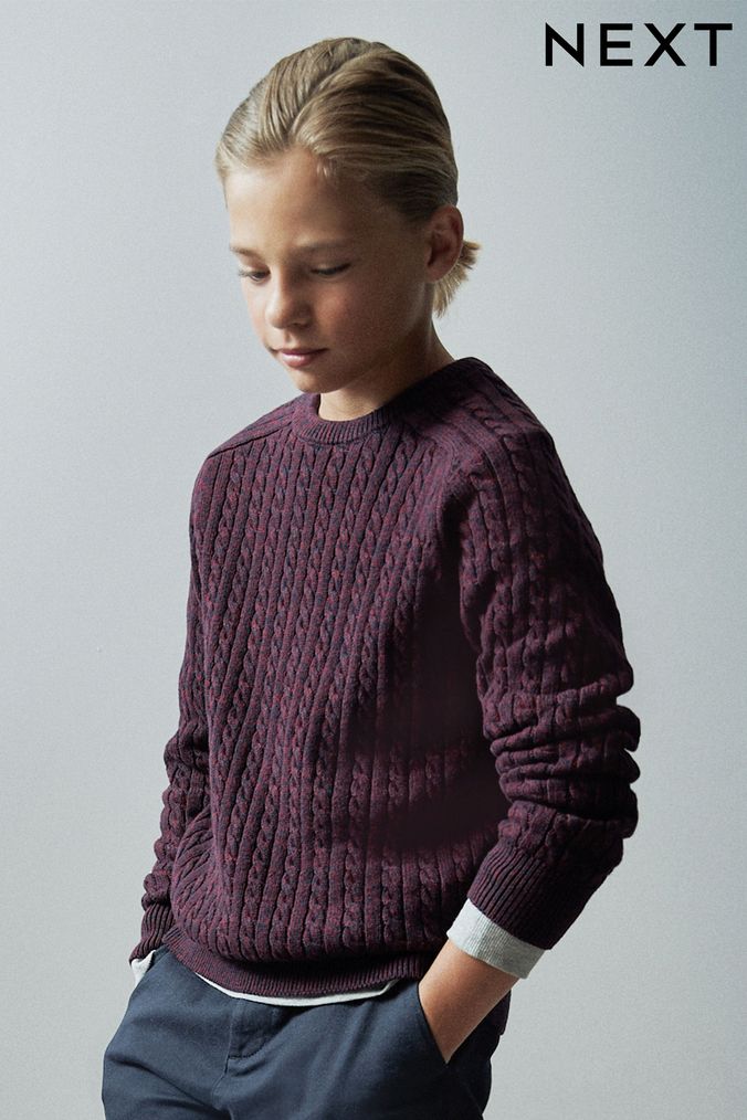 Boys purple sweater 2025
