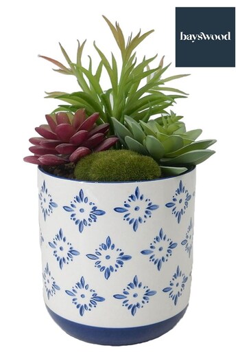 Bayswood Green 105H Succulent In Ceramic Pot (D72082) | £14