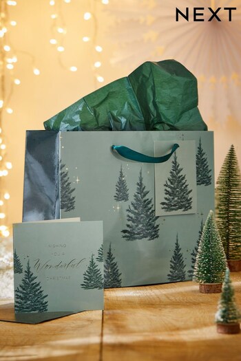 Green Trees Christmas Gift Bag and Card Set (D74117) | £4