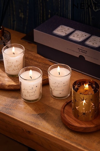 Navy Mandarin and Amber Set Of Scented Candle (D76643) | £16