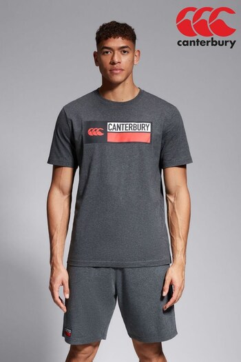 Canterbury Grey Cotton Logo T-Shirt (D77133) | £24