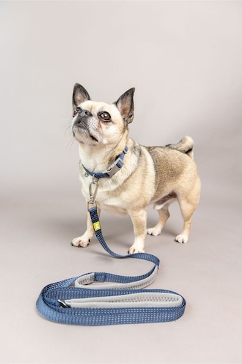 BUILT Blue Pet NightSafe™ Double Handled Small Dog Lead (D78693) | £27