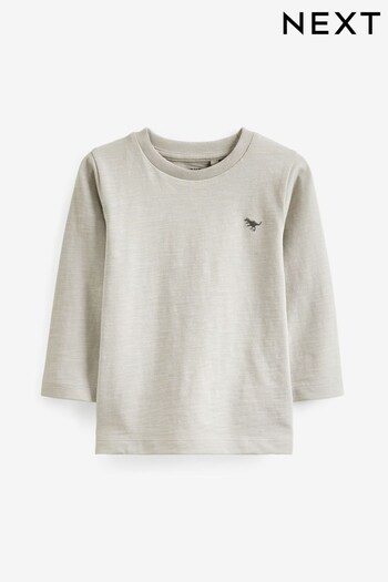 Light Grey Long Sleeve Plain T-Shirt (3mths-7yrs) (D80454) | £4 - £6