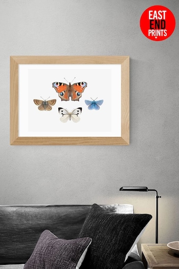 East End Prints White British Butterflies by Sisi and Seb Framed Print (D83929) | £45 - £120