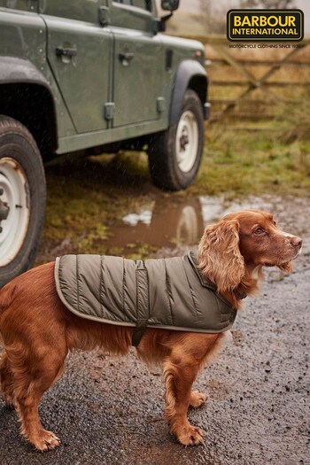 Barbour® International Olive Green Pets Coat (D84275) | £50