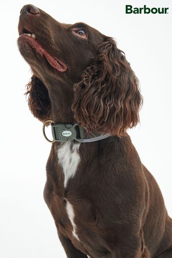 Barbour® Green Classic Tartan Reflective Comfort Dog Collar (D84279) | £20