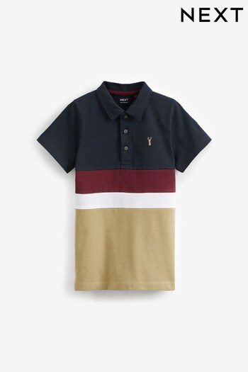 Navy Blue/Neutral Short Sleeve Colourblock Polo Shirt (3-16yrs) (D84301) | £10 - £16