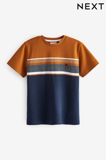 Tan Brown/Navy Blue Colourblock Short Sleeve T-Shirt (3-16yrs) (D84682) | £13 - £18