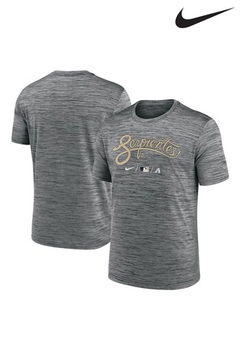 Nike Natural Fanatics Arizona Diamondbacks Nike City Connect Legend Practice Velocity T-Shirt (D95952) | £35