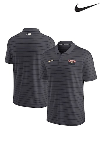 Nike Grey Fanatics Arizona Diamondbacks Stone Nike City Connect Striped Polo (D96633) | £50