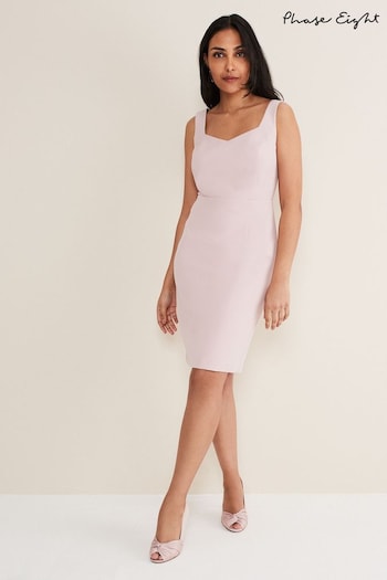 Phase Eight Pink Petite Isabella Lace Dress (D98260) | £169
