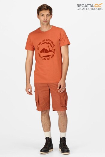 Regatta Orange Cline VII Short Sleeve T-Shirt (D98580) | £18