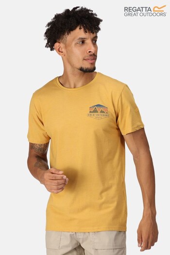 Regatta Yellow Cline VII Short Sleeve T-Shirt (D98582) | £18