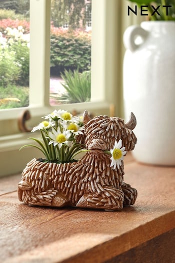 Green Hamish the Highland Cow with Artificial Daisies (D99062) | £14