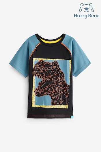Harry Bear Black Dinosaur Short Sleeve T-Shirt (E02291) | £13