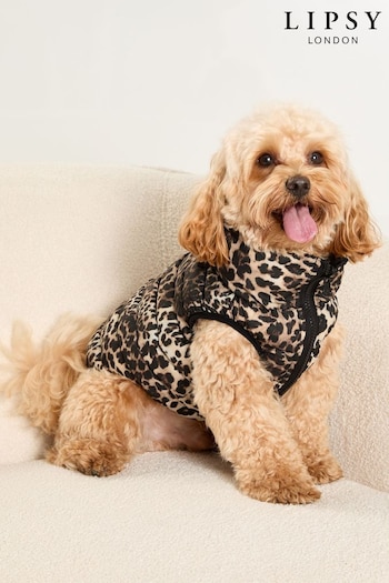 Lipsy Black Reversible Dog Padded Jacket (E10646) | £19 - £25